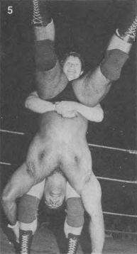 piledriver wrestling move