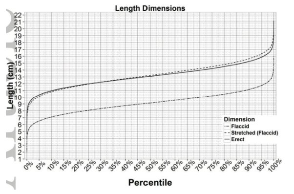 anjali gosain recommends 14 Inch Penis