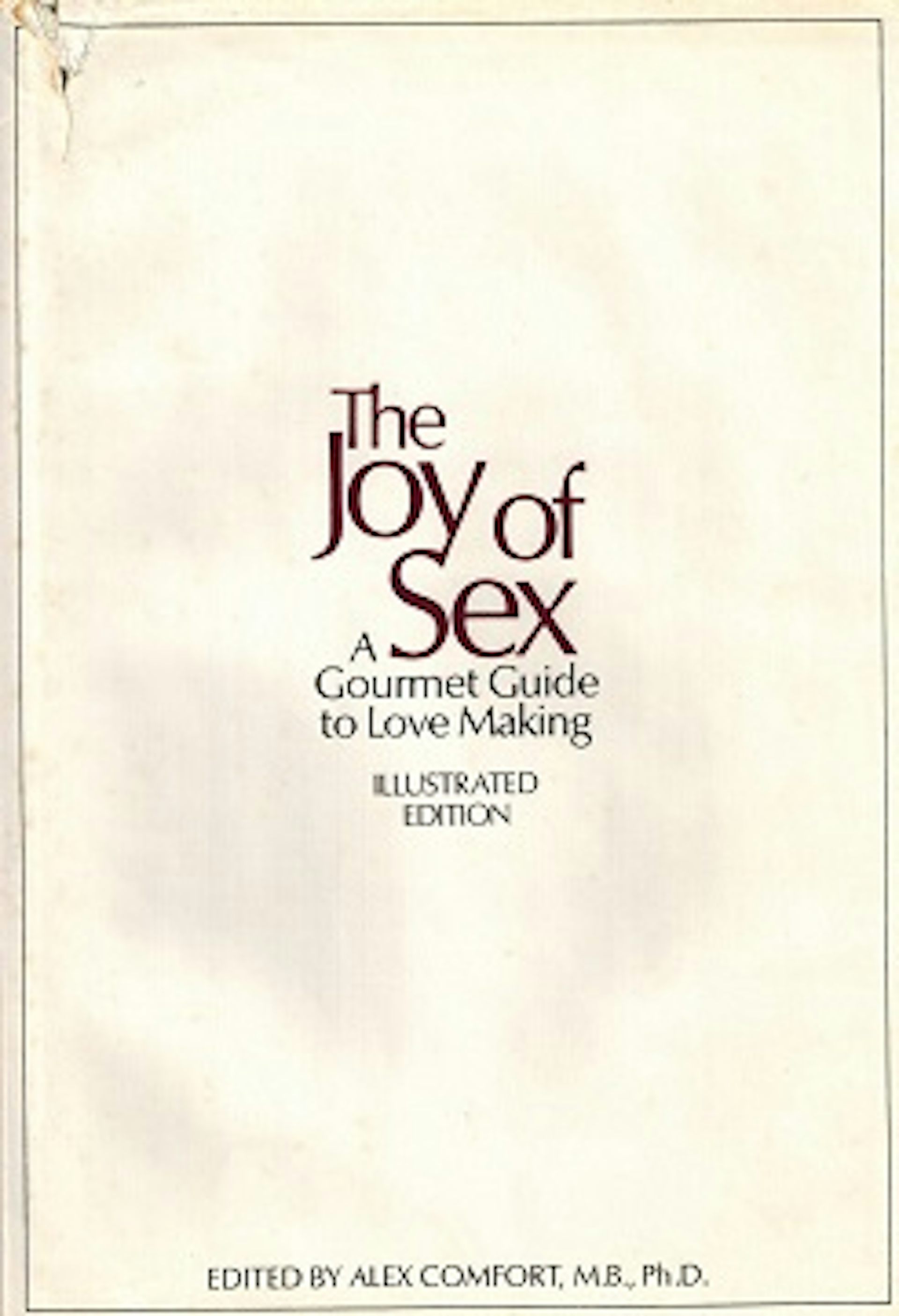 the joy of sex book pictures