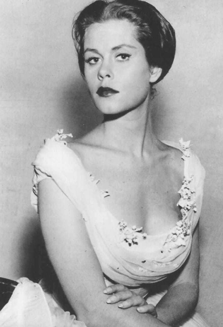 amanda bower add elizabeth montgomery nipples photo