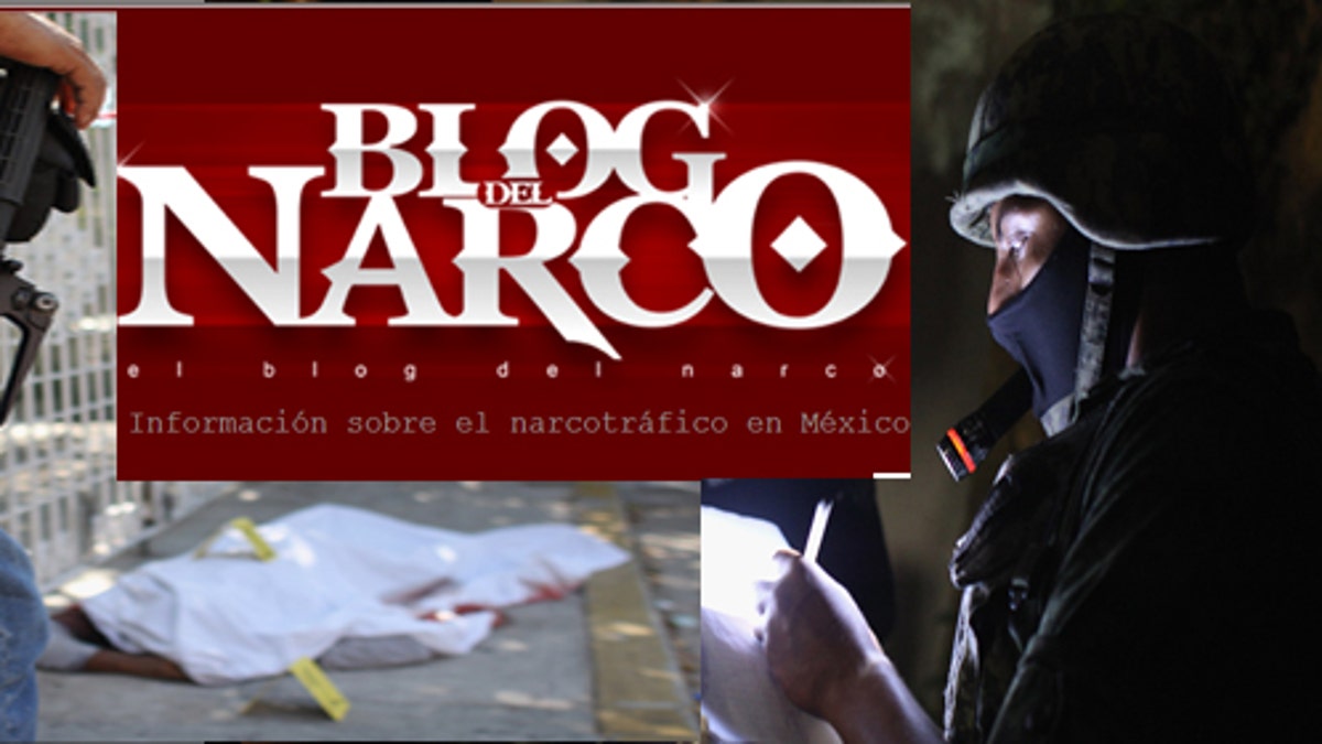 afaaq ali recommends Www Blog Del Narco Videos