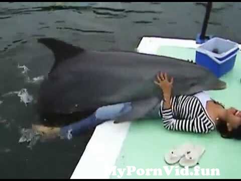 Best of Girls fucking dolphins