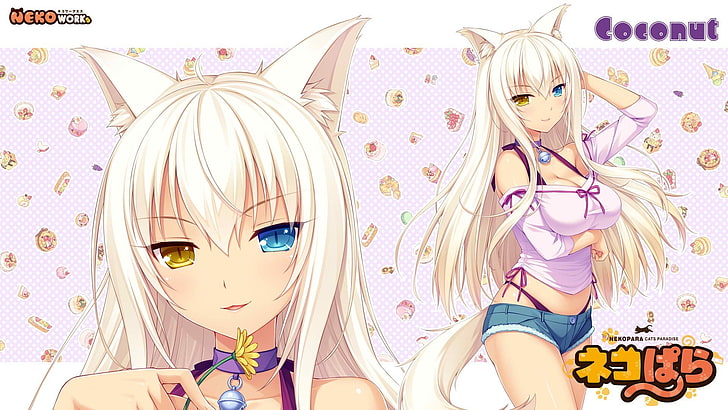 alaa fadl recommends how old is coconut nekopara pic