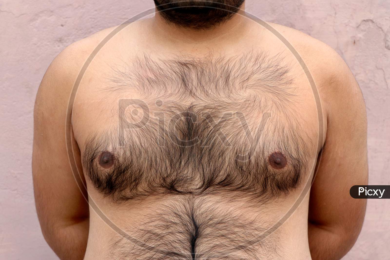 andrew lauer add naked fat hairy man photo