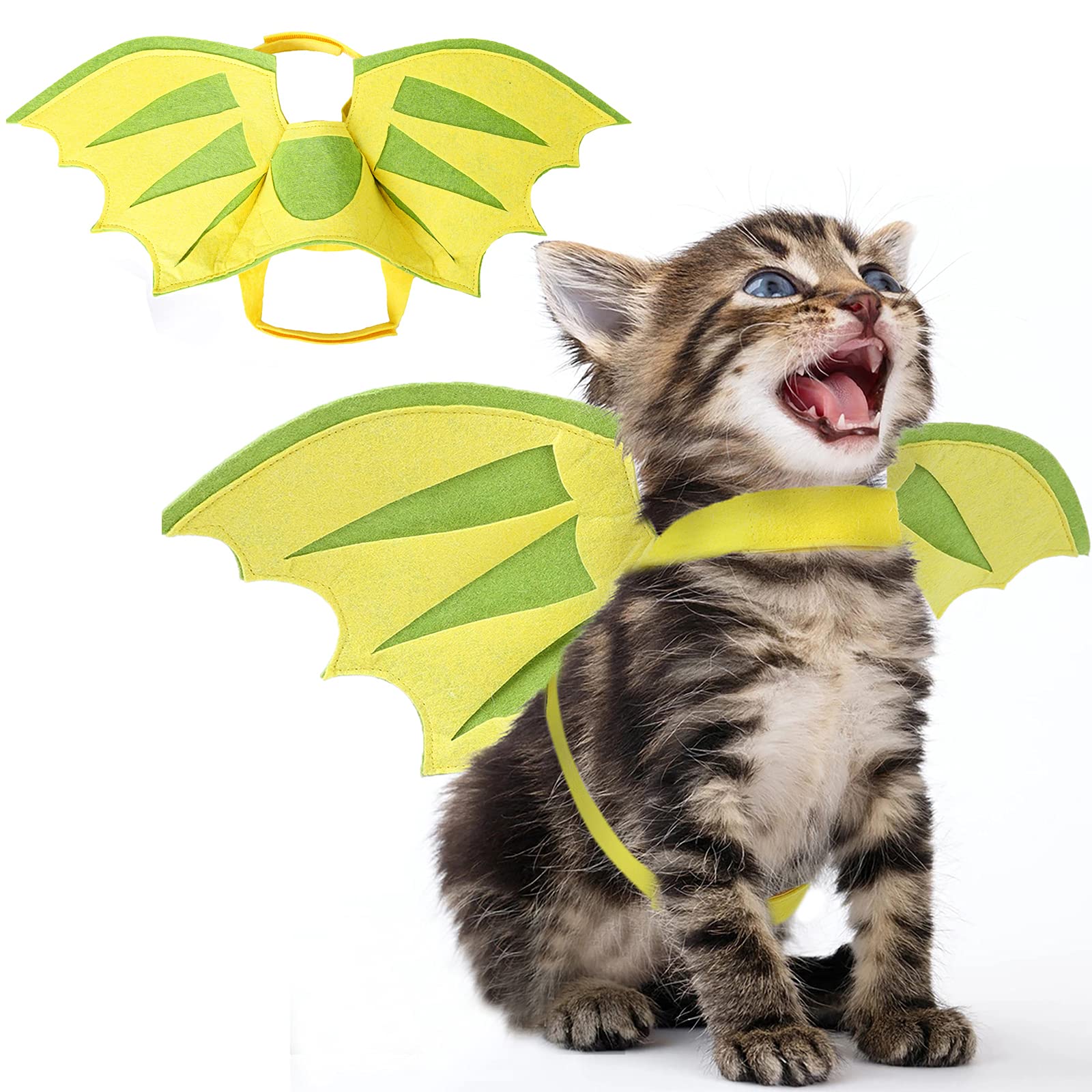 chad waguespack add dragon costume for cat photo