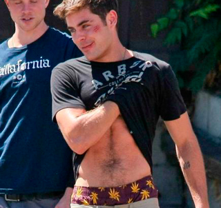 bryan floyd add photo zac efron in boxers