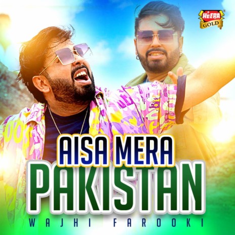 pakistani video song download