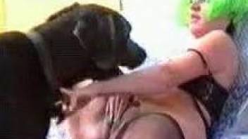 Best of Woman fucked by great dane