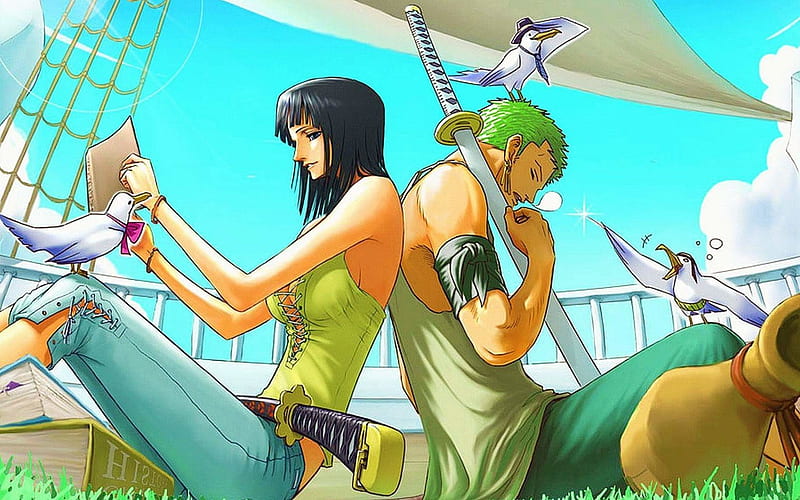 barru balcha recommends nico robin and zoro pic