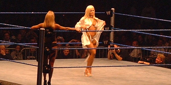 chinu kishore recommends Wwe Diva Torrie Wilson Nude