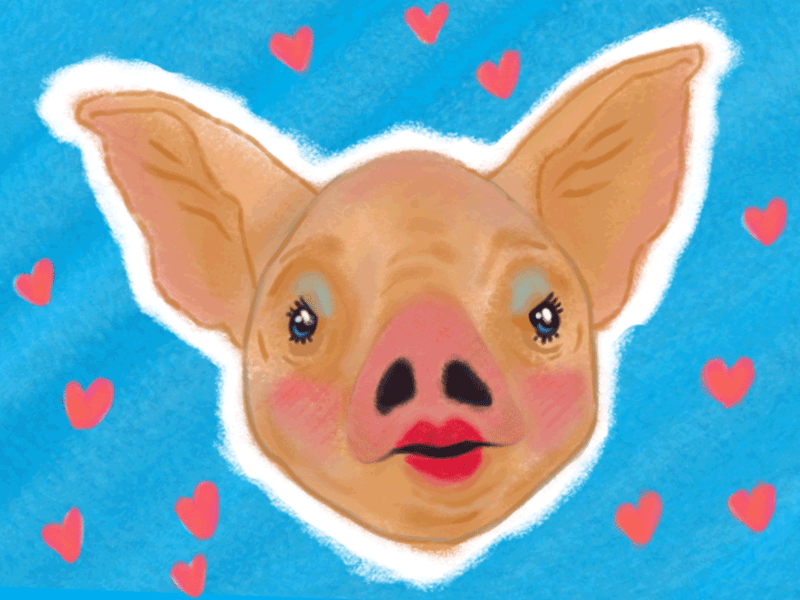 david yousaf recommends how to draw a pig gif pic