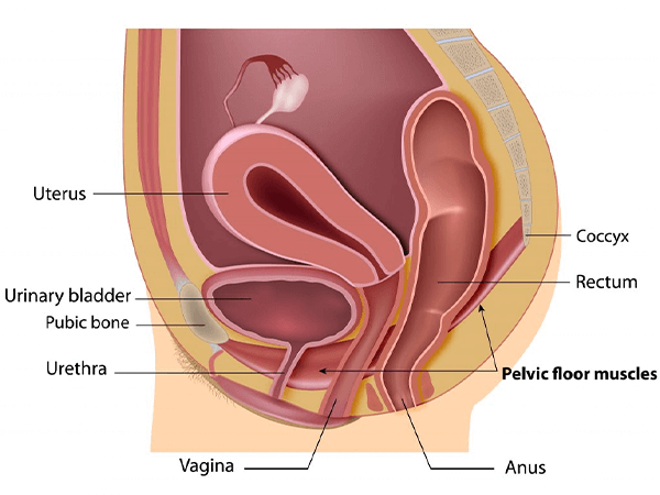 hitting the cervix good or bad