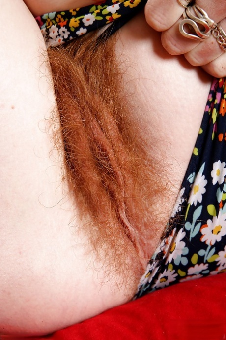 amanda roux recommends hairy redhead porn pic