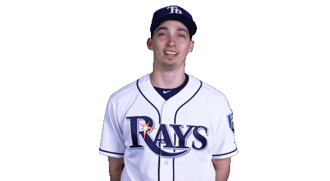 Best of Tampa bay rays logo gif