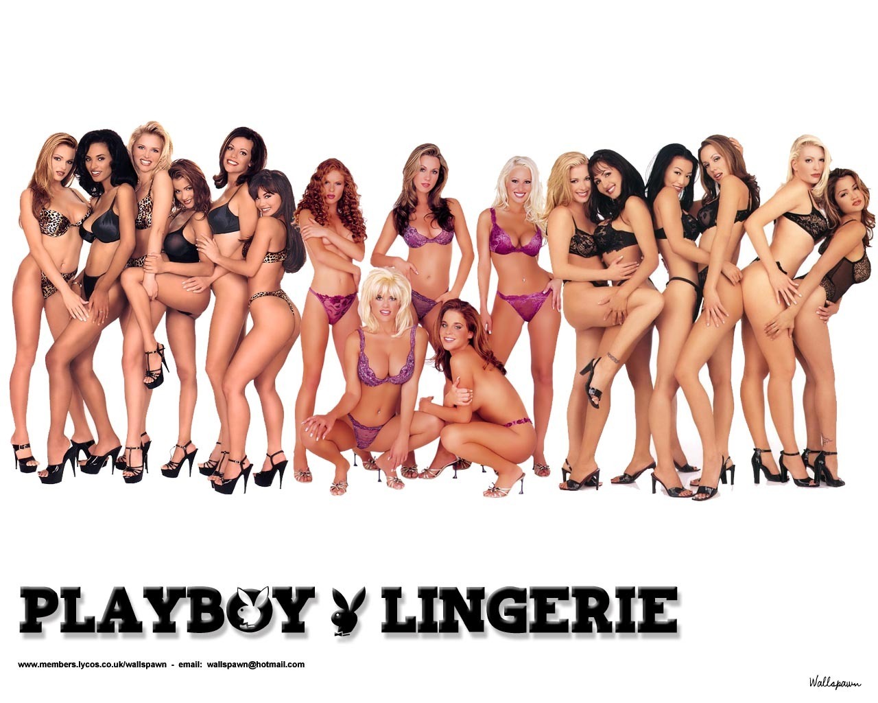 darren rosen add photo playboy girls in lingerie