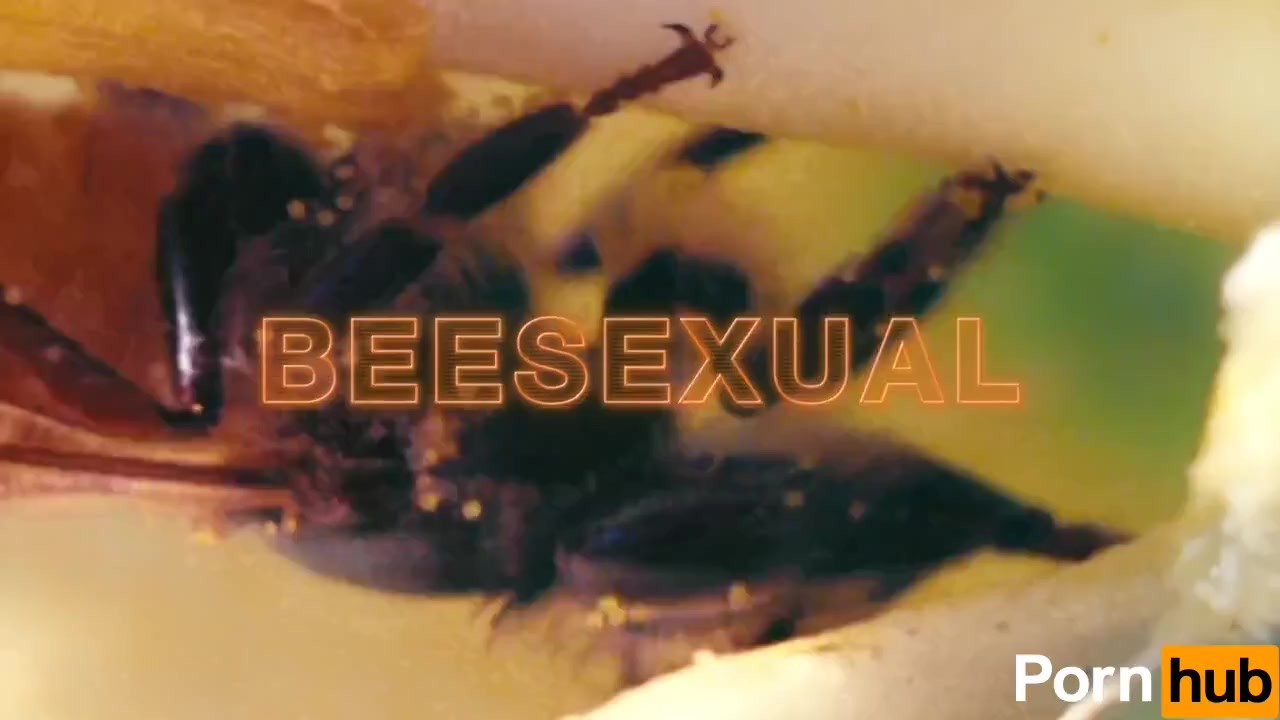 Best of The bee movie pornhub