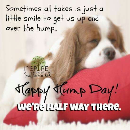 clarence oneal recommends happy humpday images pic