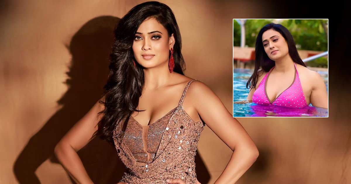 angie hinckley recommends shweta tiwari in bikini pic