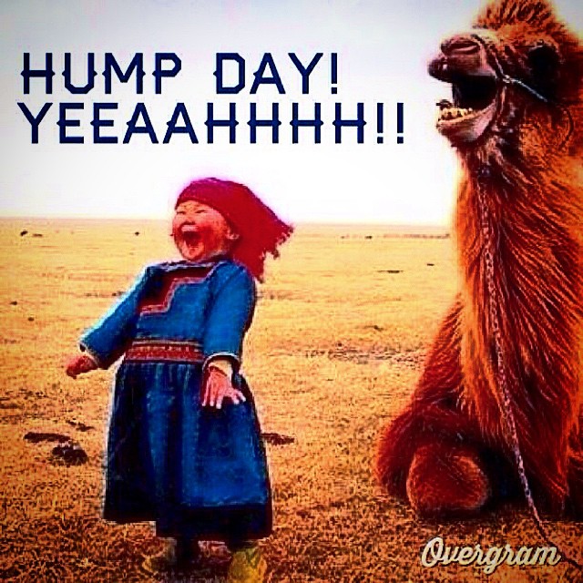 arben kryeziu recommends Happy Humpday Images