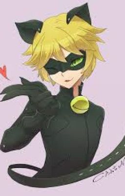 andrea calverley recommends Cute Pictures Of Cat Noir