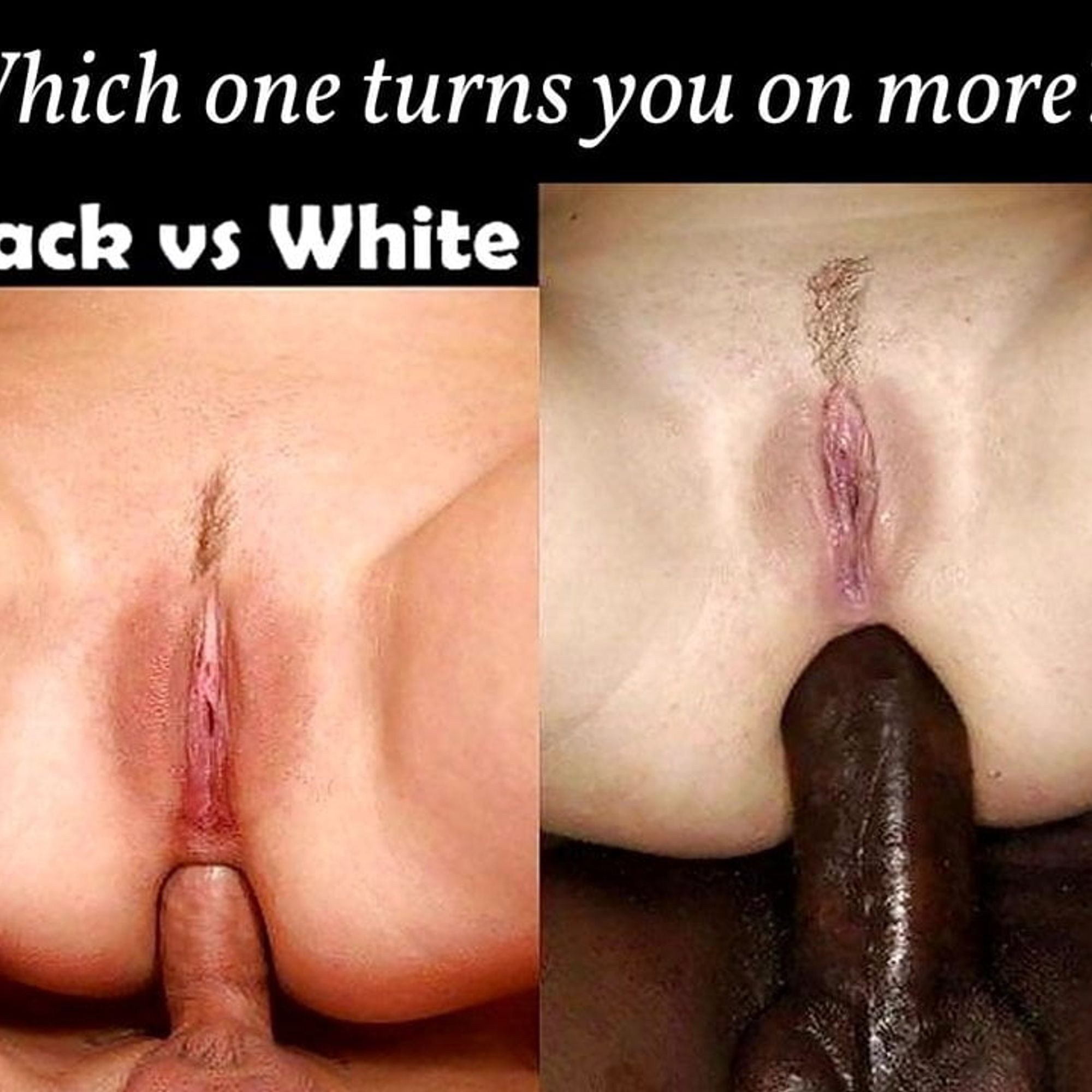 becky mincey recommends white vs black pussy pic