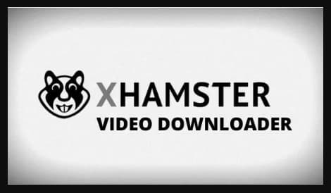 becki mccoy recommends xhamstervideodownloader apk for chromebook os chrome pic