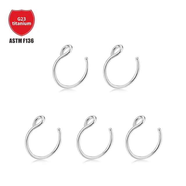 anil gosavi add photo fish hook nose ring