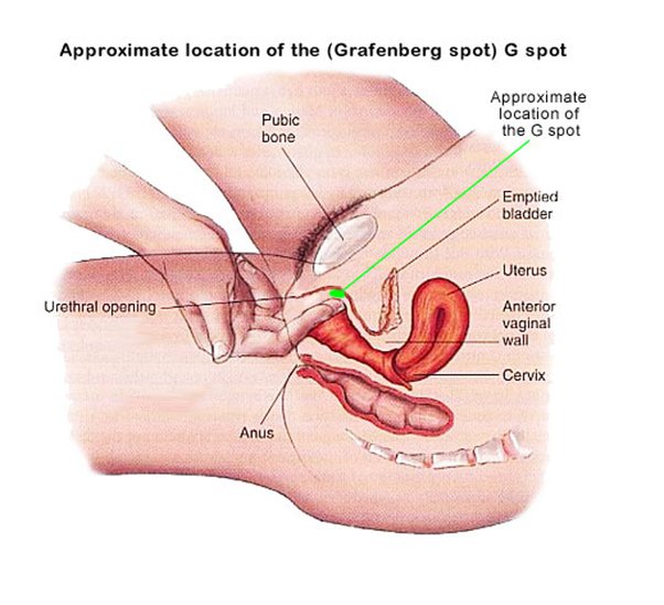 Other Ways To Masterbate spread wide