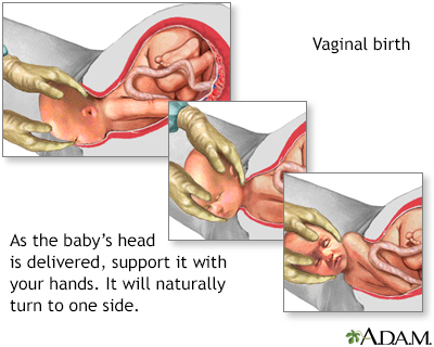 aldin osmanovic recommends Human Head In Vagina