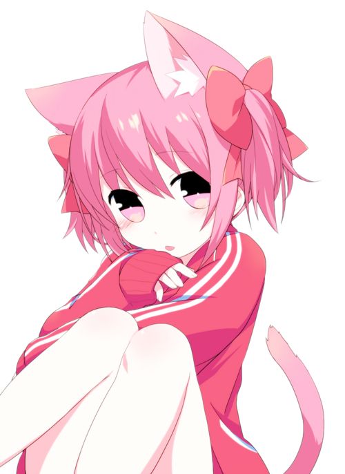 amber beegle recommends pink haired cat girl pic