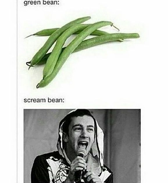 carol seib share twenty one pilots bean photos