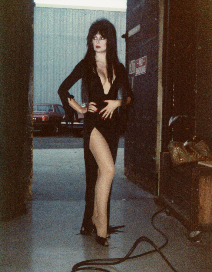 Elvira Mistress Of The Dark Tits pornstars photos