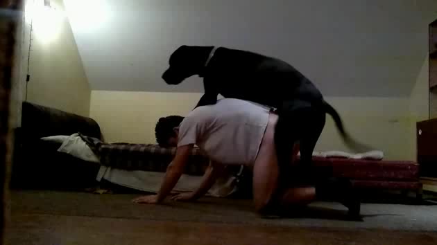 Best of Man fucked by great dane