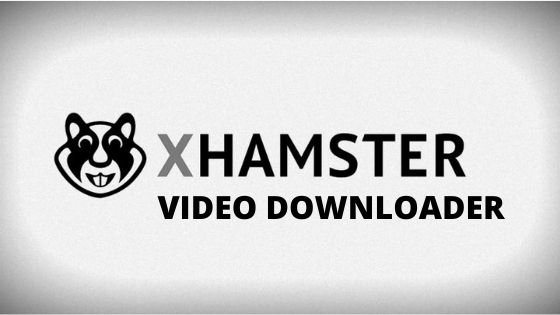 bob huttinga share xhamstervideodownloader apk for pc download photos