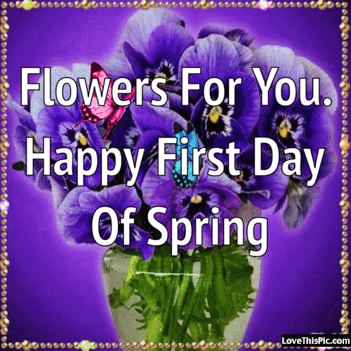 alin trif add happy first day of spring gif photo