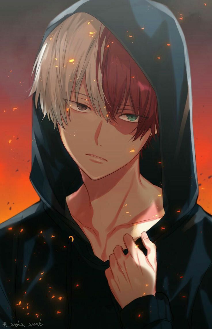 daniel plank add photo hot pictures of shoto todoroki