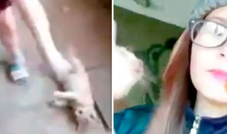 Best of Russian girls torture animals