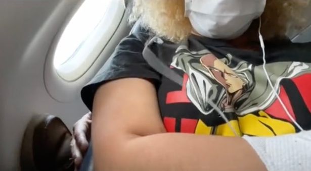 cat oconnor recommends tit on a plane pic