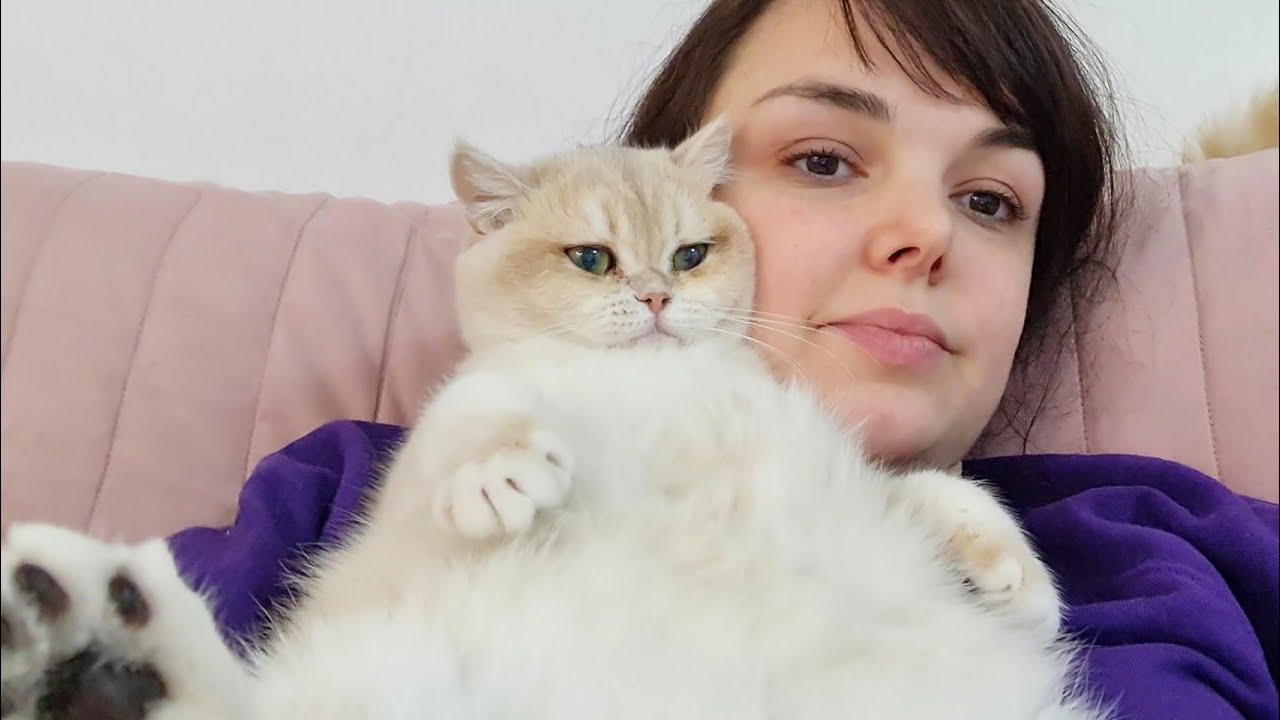 cynthia bird recommends Caramel Kitten Youtube