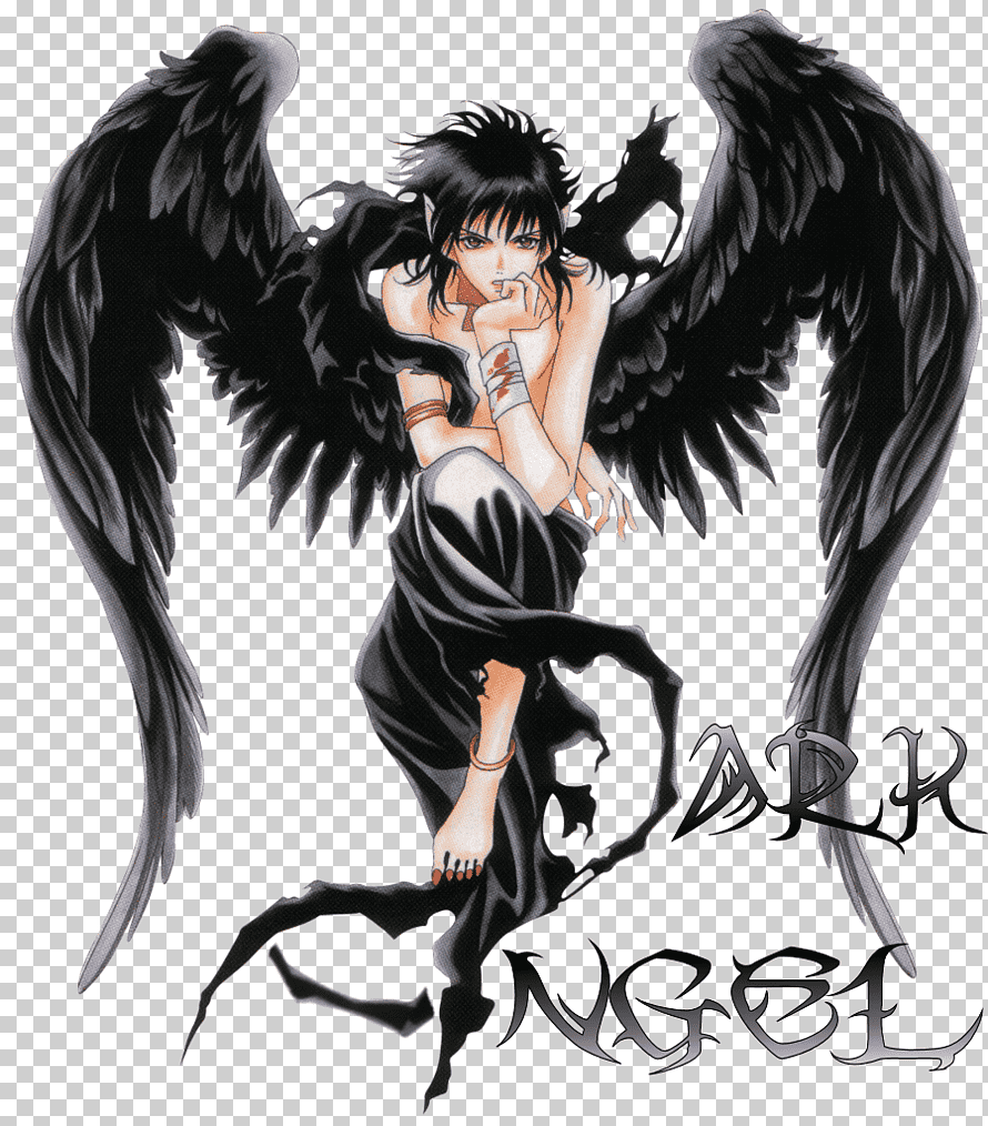 brian werley recommends fallen angel anime pic