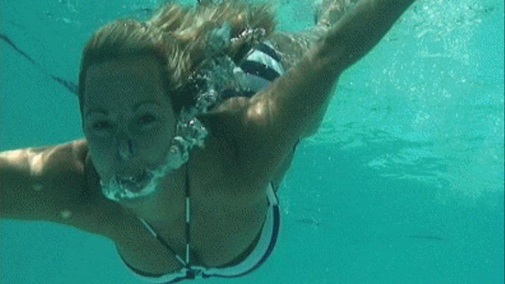 dawn perrin recommends Amber Lynn Bach Underwater