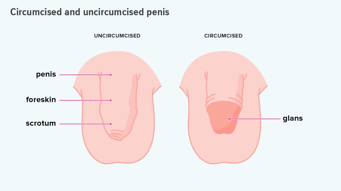 how to masturbate uncircumcised