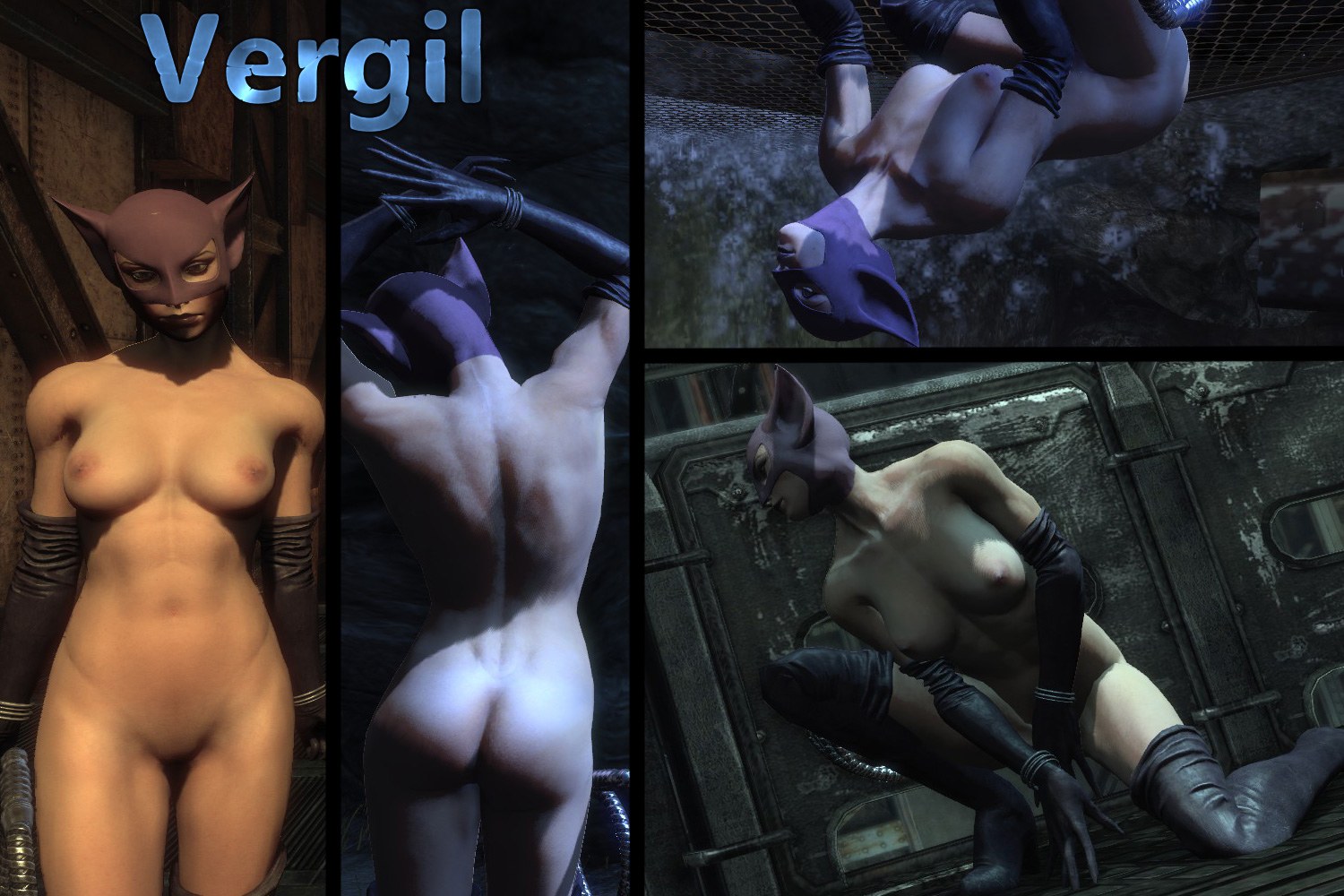 brett lafferty recommends catwoman arkham city nude pic