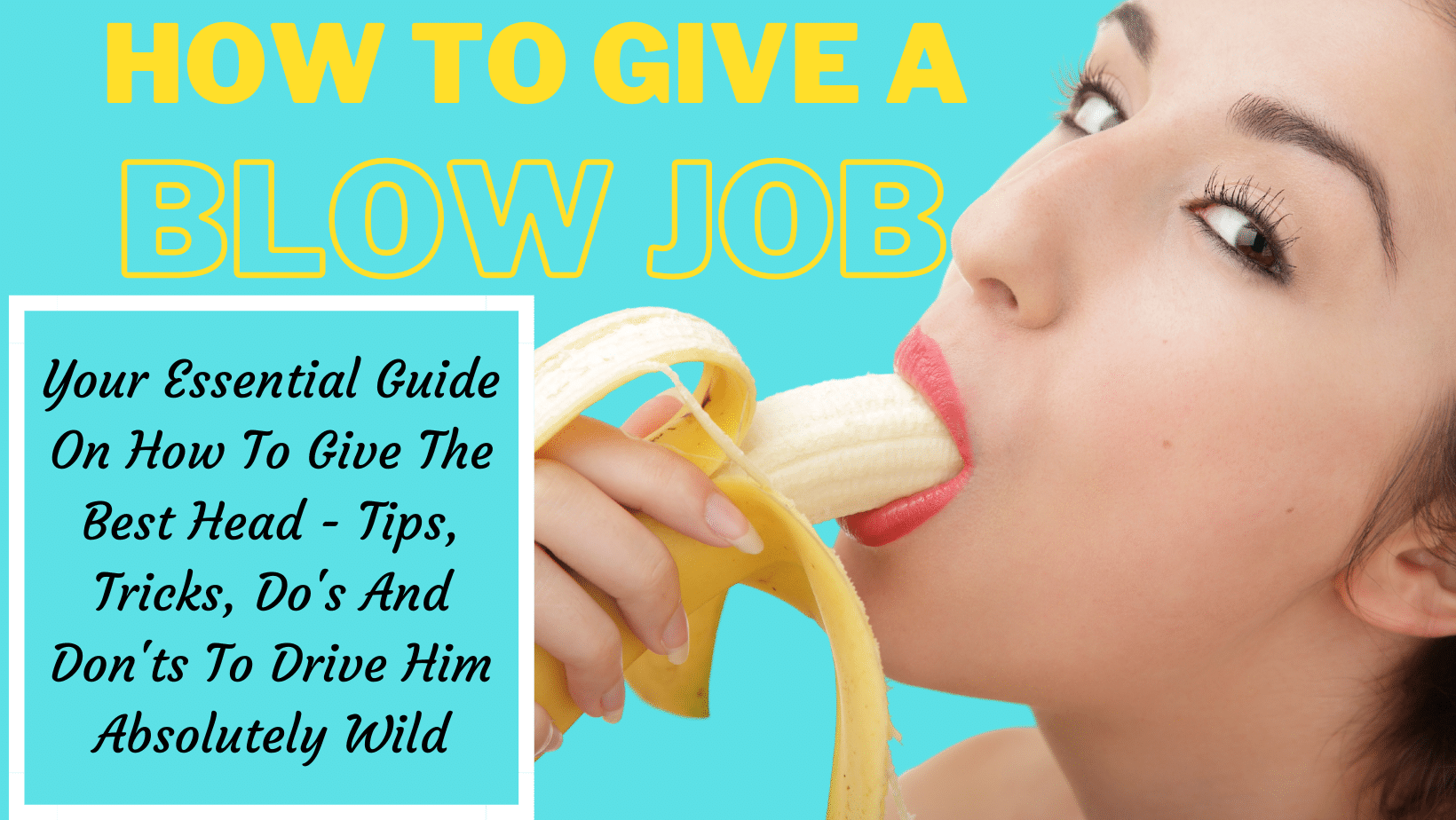 andrea lyn willis recommends blow job bible pic