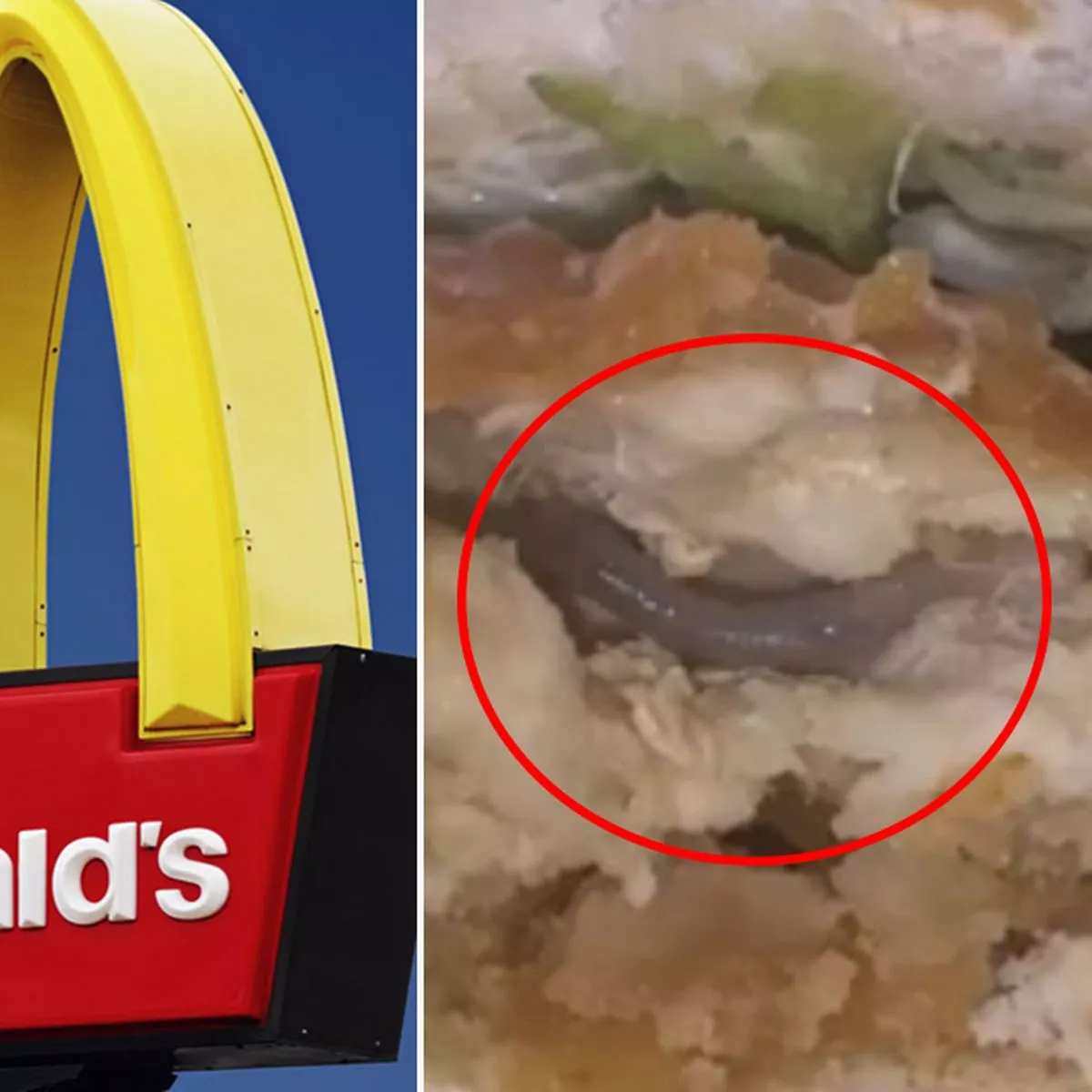 carly naylor recommends Man Has Sex With Mcchicken Video