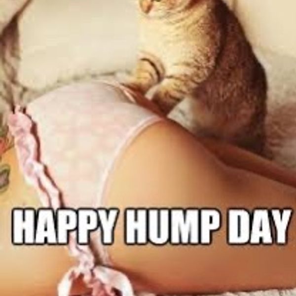 alan miceli recommends Happy Hump Day Dirty Pics