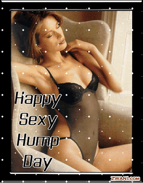 ani melikyan share sexy hump day gif photos