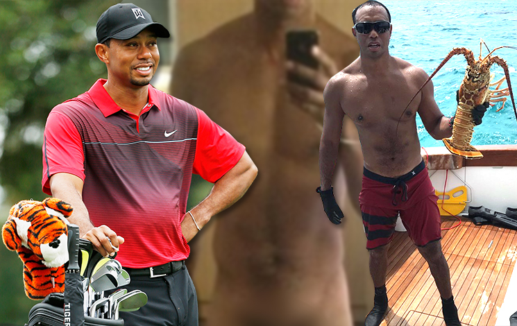 chiara guidi recommends tiger woods penis pic pic