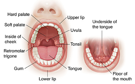 abhishek bhati add what is an oral bottom photo