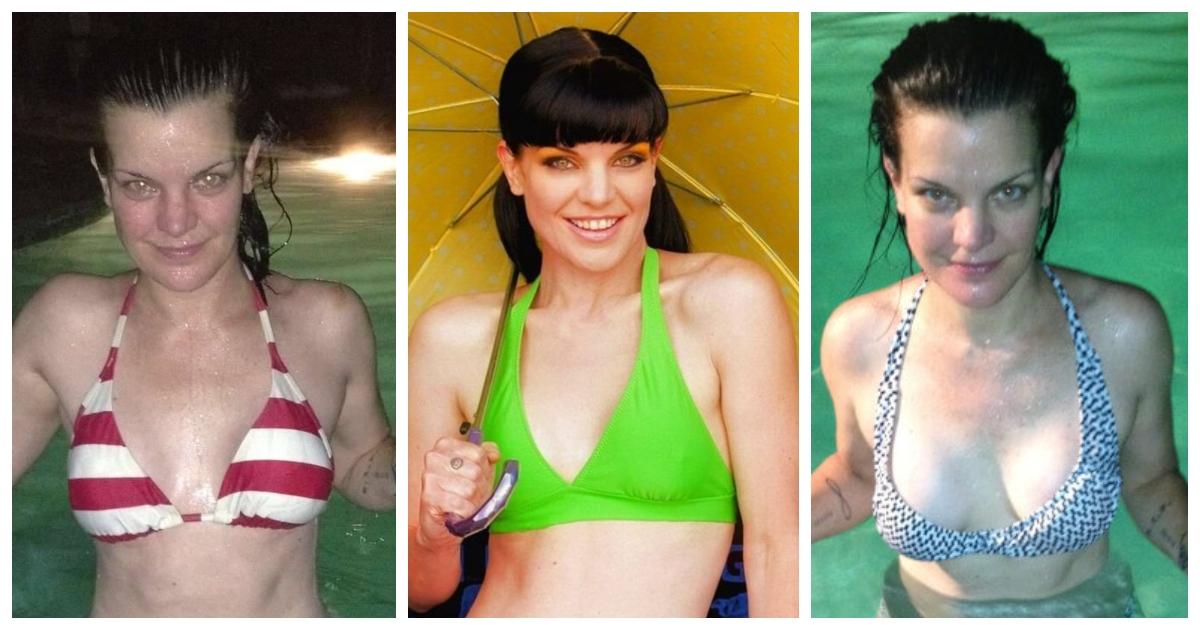 Best of Has pauley perrette ever been nude